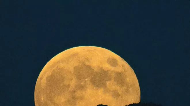 Image: Full Moon Wander @ Canoa Ranch Lake
