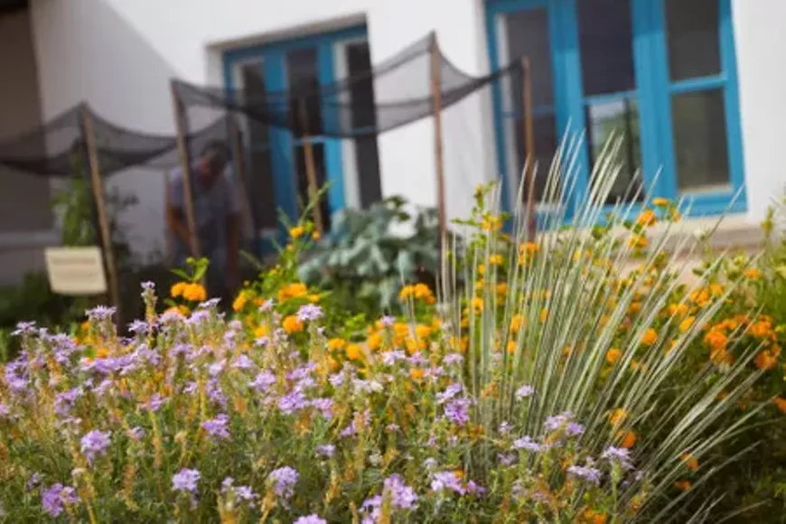 canoa_ranch_gardens.webp