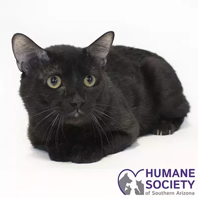 Image: Gaston Needs A Home