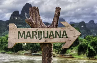Image: Growing Concerns Want to start your own marijuana garden? It’s not as easy as it looks.
