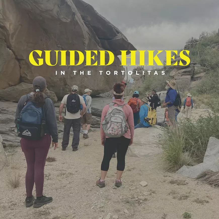 Guided Hikes in the Tortolitas