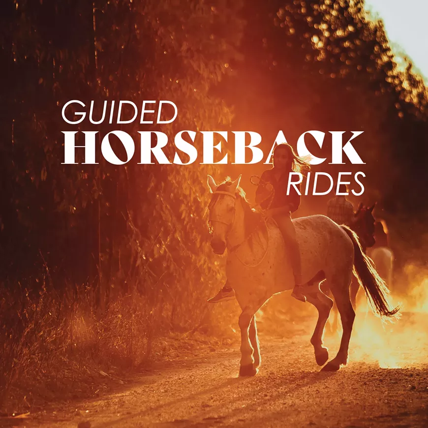 Guided Horseback Rides