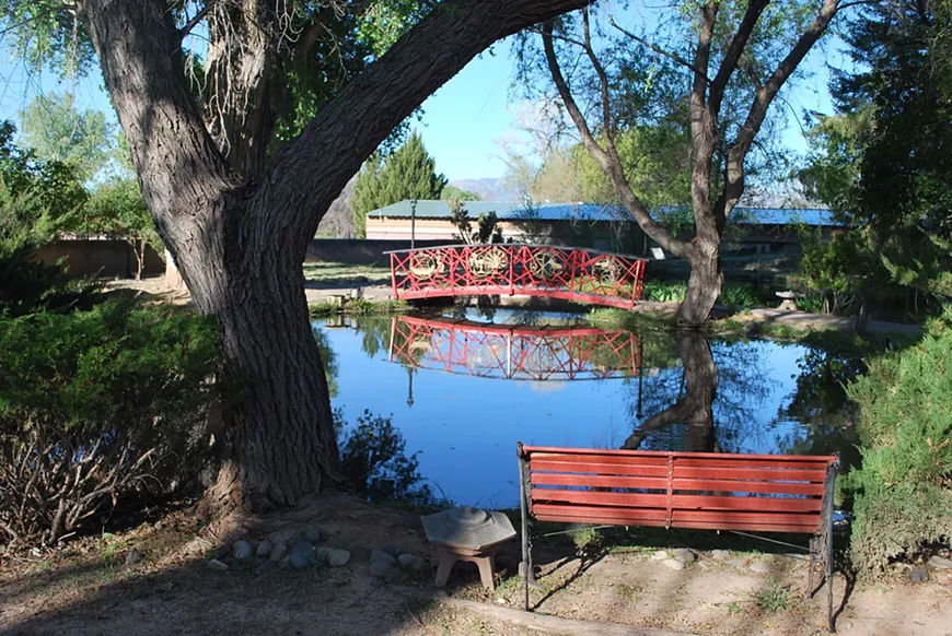 Practice yoga within serene surroundings.