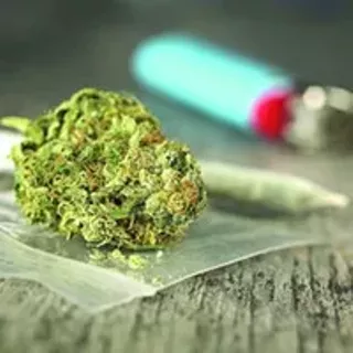 Image: High Times