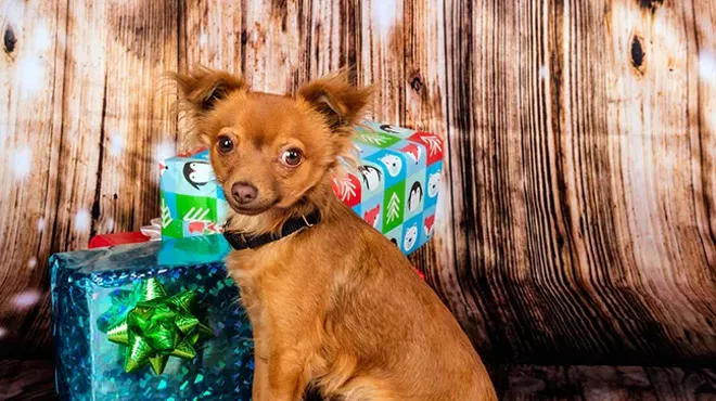 Image: Holiday Specials on Pups at PACC