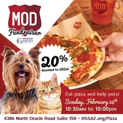Image: HSSA and MOD Pizza