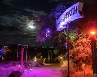 Image: Illuminated Evenings