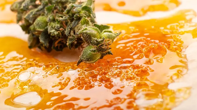 Image: It’s alive! What does that mean in the cannabis industry?