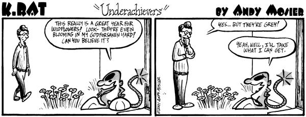 Image: K. Rat