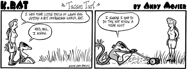 Image: K. Rat
