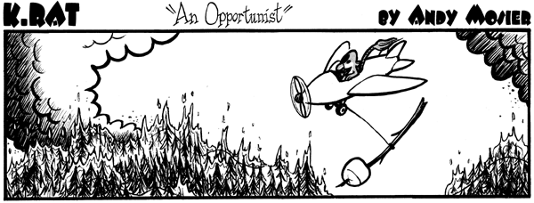 Image: K. Rat