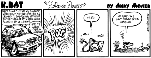 Image: K. Rat