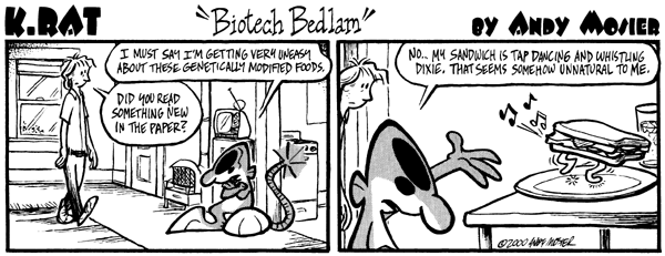 Image: K. Rat