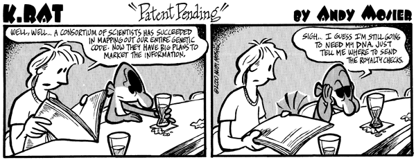 Image: K. Rat