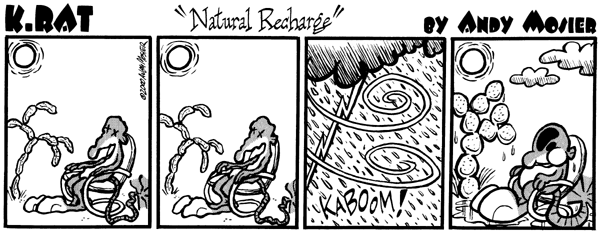 Image: K. Rat