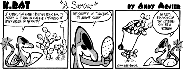 Image: K. Rat