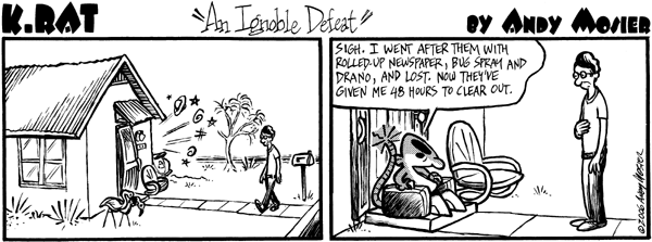 Image: K. Rat