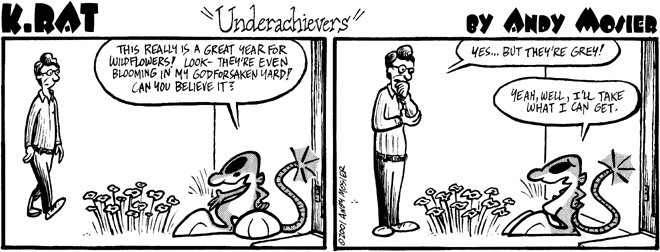Image: K. Rat