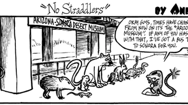 Image: K. Rat