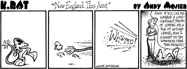 Image: K. Rat