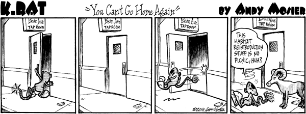 Image: K. Rat