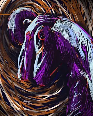 Image: Kaleidoscope of Form - Artist Reception