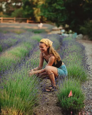 Image: Lavender Bloom Season Retreat