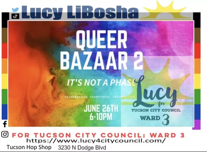 Lucy4CityCouncil Ward 3