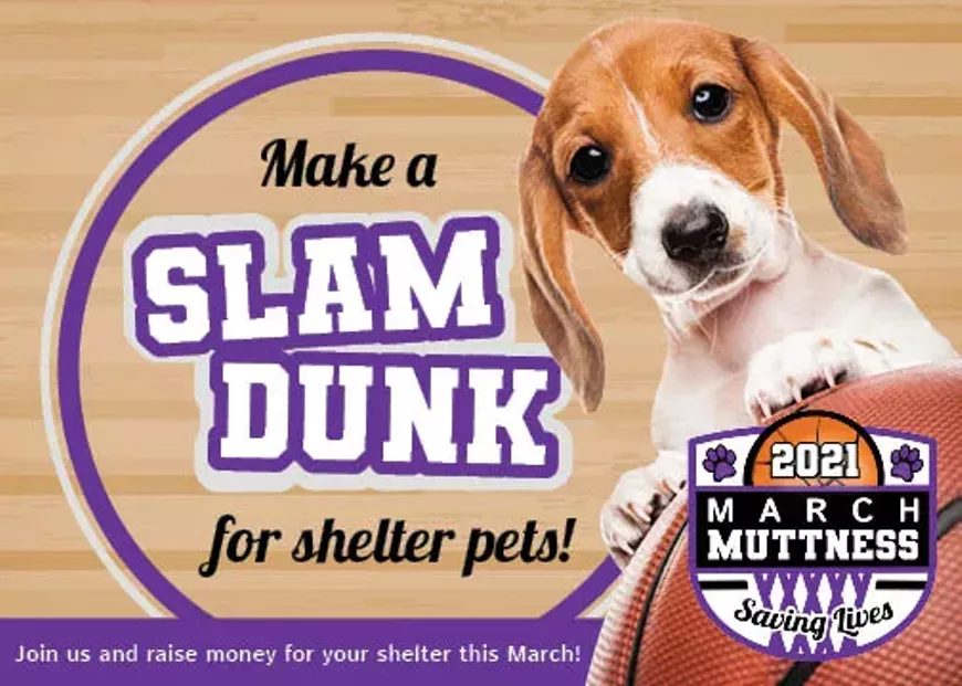 2021_march_muttness-_postcard.webp