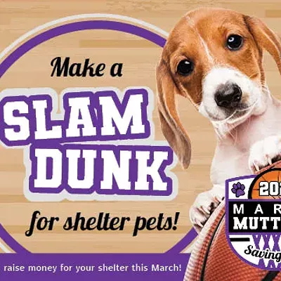 Image: March Muttness