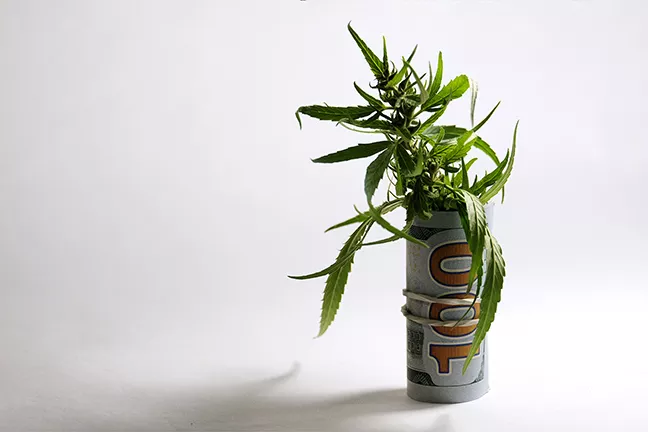 14_mmj-2.webp