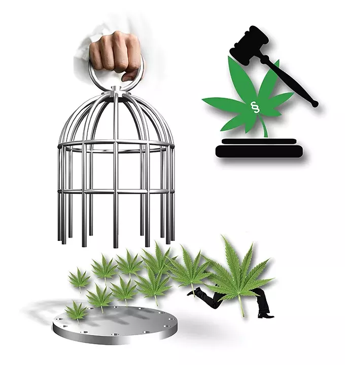 mmj.webp