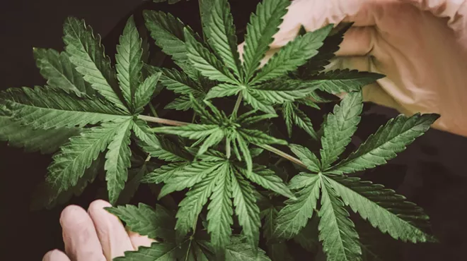 Image: Method of use plays role in cannabis consumption