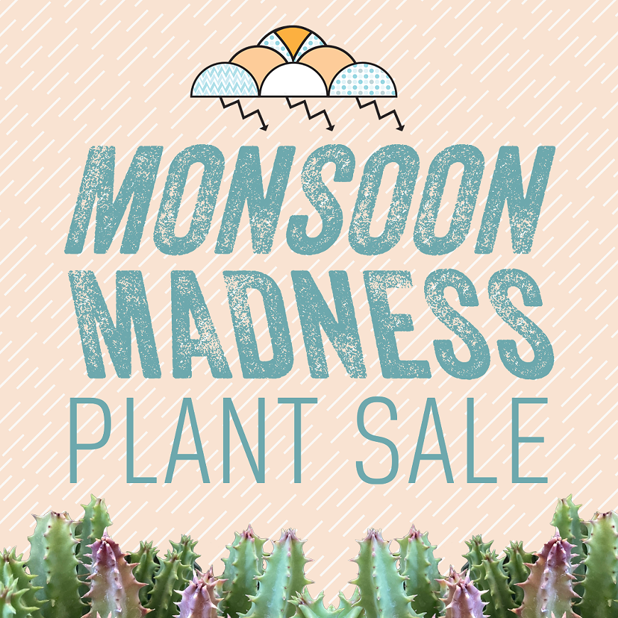 monsoon-madness-fy23-fb-square.png