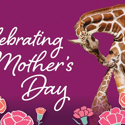 Image: Celebrating Mother's Day at the Zoo