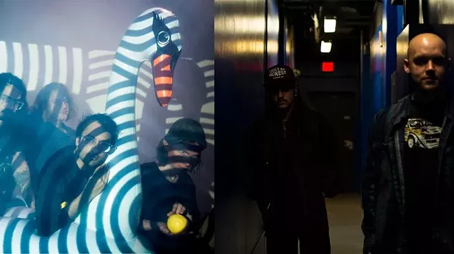 Image: Mute Swan & Kryge