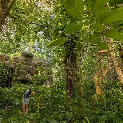 Image: Biosphere 2 study: Tropical forests may be more resilient to rising temperatures than predicted