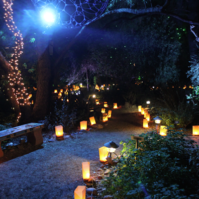 Image: Botanical Gardens' Luminaria Nights becomes Winter 'Wanderland'
