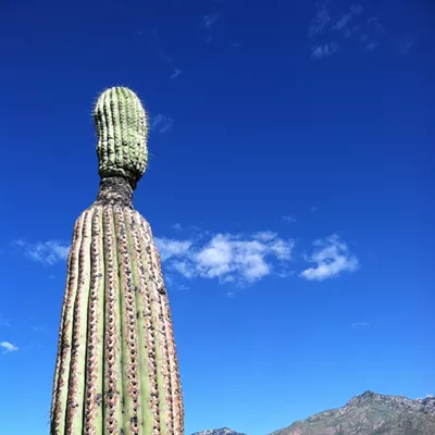 Image: The Daily Saguaro, Monday 6/14/21