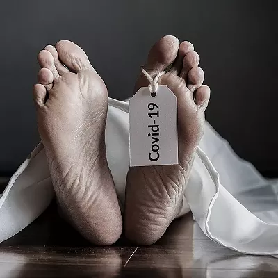 Image: Nobody Accurately Tracks Health Care Workers Lost to COVID-19. So She Stays Up At Night Cataloging the Dead.