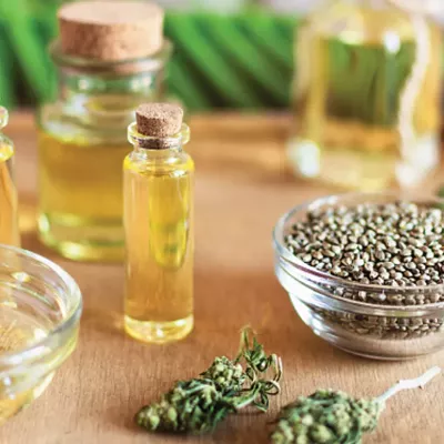 Image: NORML Briefs: Study – PTSD improved following cannabis use