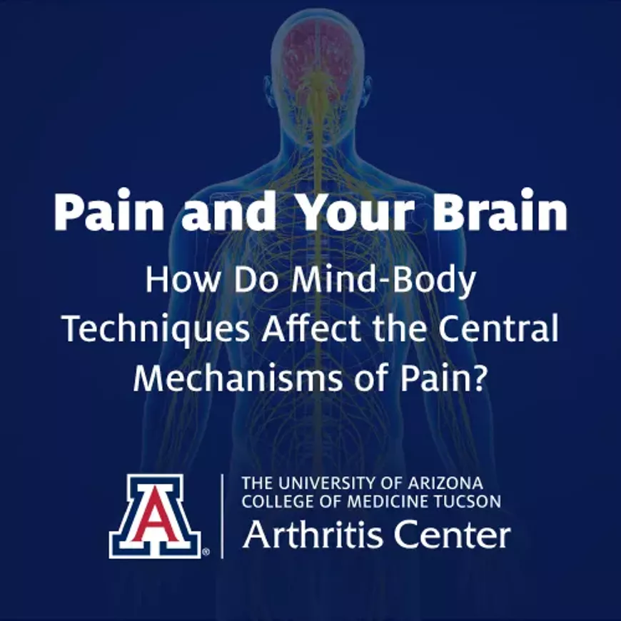 pain-and-your-brain-lecture.webp
