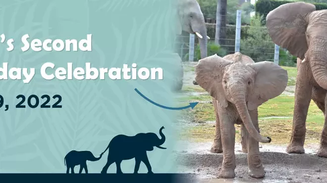 Image: Penzi&rsquo;s Second Birthday Celebration