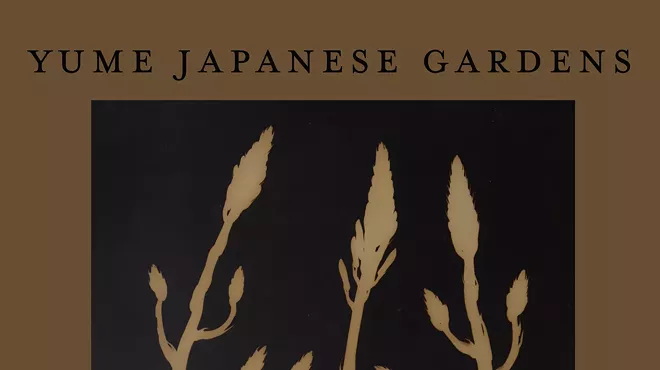 Image: Photograms by Kate Breakey