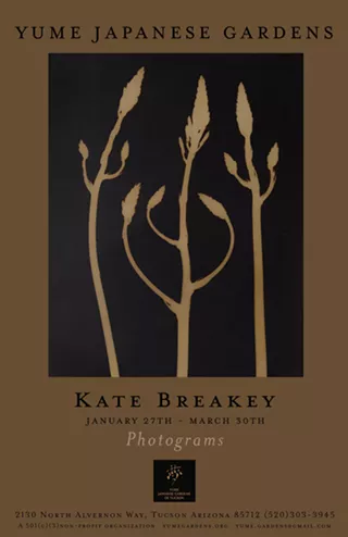 Image: Photograms by Kate Breakey