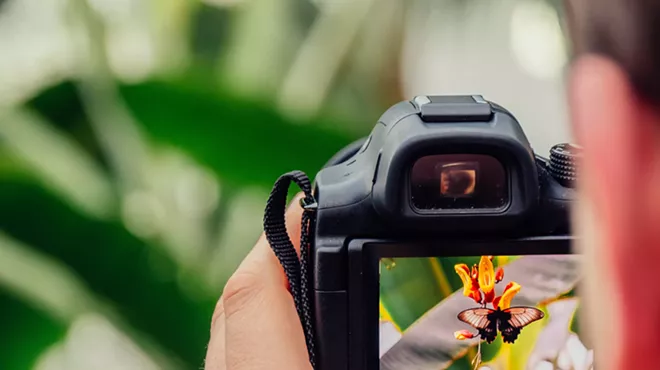 Image: Photography Basics