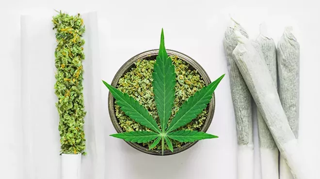 Image: Pot Profile