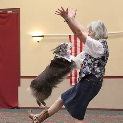 Image: Practice Space Needed for Tucson Musical Canine Freestyle Club