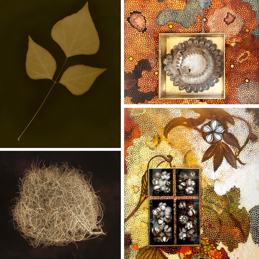 Prescience Remains | The Work of Kate Breakey & Barbara Rogers