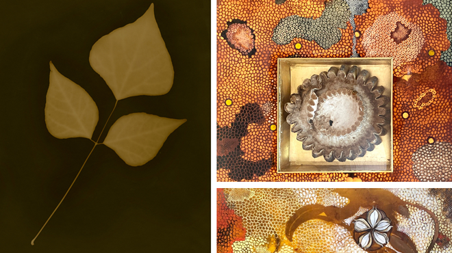 Image: Prescience Remains: The Work of Kate Breakey & Barbara Rogers